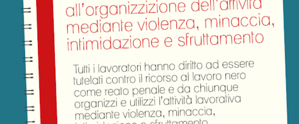 SFRUTTAMENTO A PRATO: UN CAMMINO LUNGO E SCOSCESO, MA SI MUOVONO PASSI. LE NOSTRE PROPOSTE.